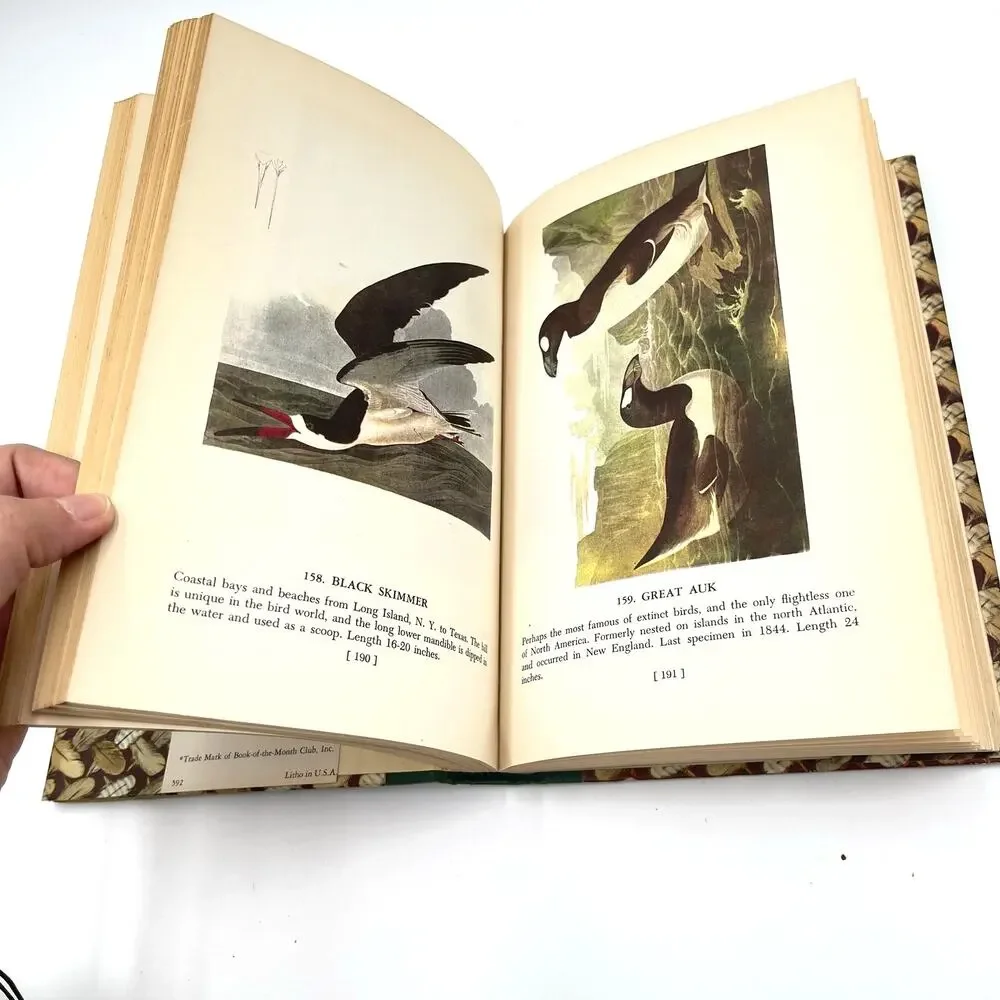 Audubons Birds Of America 1950 Book Stated First Printing Popular Edition HC DJ